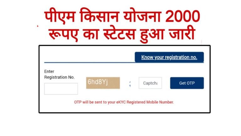 PM Kisan Beneficiary Status